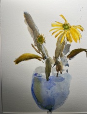 504CF83D-6389-4FD0-A3C2-904DB7572502_1_105_c