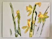 75BDE8B0-2561-49DF-9589-DB1925EA08D4_1_105_c