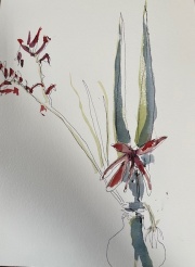 Iwatercolor