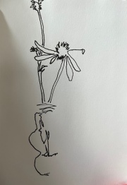 contour-drawing-yard-flowers
