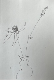 line-drawing-2-flowers