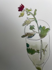 red-flower