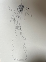 single-line-drawing