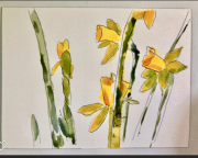 sq.fomat-daffs