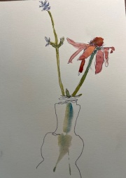 yard-flowers-w.-color