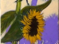2 Sunflowers